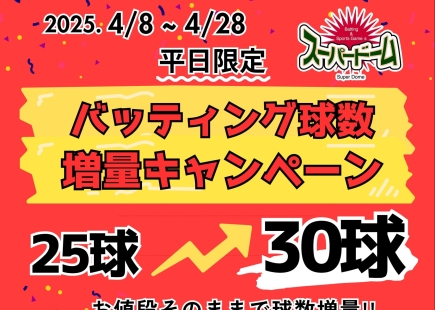 バッティング球数増量キャンペーンのご案内